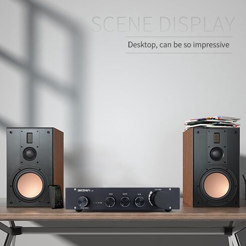 L1B Pure Class A 2.1 قناة HIFI Audio Powerplifier High Middle and Bass Control Bluetooth 5.0 Decoding Receiver ، لمقاطعات المنزل/مكبرات الصوت النشطة (Silver) in Saudi Arabia