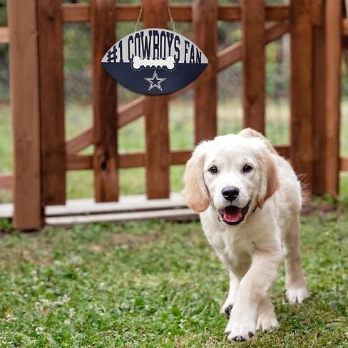 NFL #1 Pittsburgh Steelers Best Fan's Football Shape Sign with Dog Bone Design, Sporty Fence Sign, NFL Football Fan Waterproof Wooden Wall Sign, Yard Decor Indoor and Outdoor with Team Logo! in Saudi Arabia