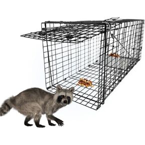 Live Humane Animal Trap, 32" x 11" x 12" Heavy Duty Humane Animal Cage Trap Catch and Release, Foldable Cat Trap for Stray Cats, Raccoons, Groundhogs, Opossums, Armadillos, and Similar-Sized Animals