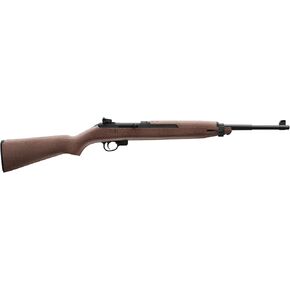 Crosman CFAM1 Full Auto CO2-Powered BB Air Rifle