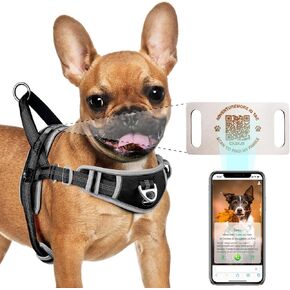 ADVENTUREMORE No Pull Large Dog Harness with QR Code Dog Tag, Adjustable Reflective Breathable Dog Vest Escape Proof Dog Harness with Easy Control Front Clip Handle for Training Walking XL Pink