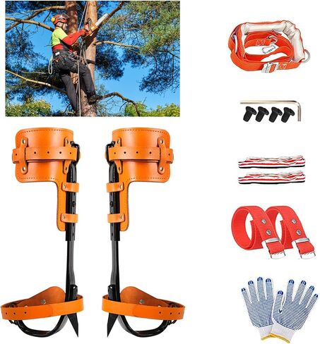 Tree Climbing Spikes Set, 304 Stainless Steel Adjustable Tree Climbing Spike 2 Gears and Non-Slip Pedal Trees, Picking Fruit in Saudi Arabia