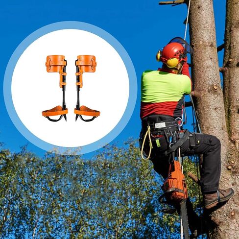 Tree Climbing Spikes Set, 304 Stainless Steel Adjustable Tree Climbing Spike 2 Gears and Non-Slip Pedal Trees, Picking Fruit in Saudi Arabia
