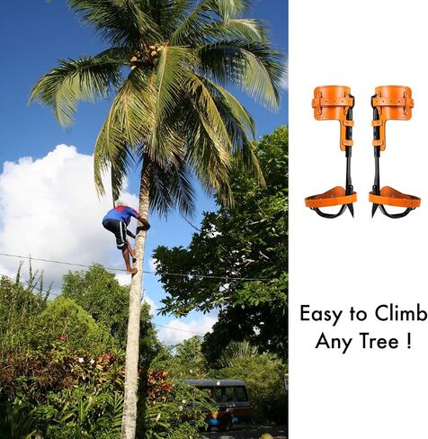 Tree Climbing Spikes Set, 304 Stainless Steel Adjustable Tree Climbing Spike 2 Gears and Non-Slip Pedal Trees, Picking Fruit in Saudi Arabia