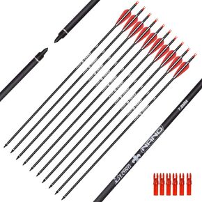 Carbon Arrow Targeting Arrows with 100 Grain Tip and Removable Tips for Archery Compound & Recurve & Traditional Bow Practice Shooting Targeting (Pack of 12)