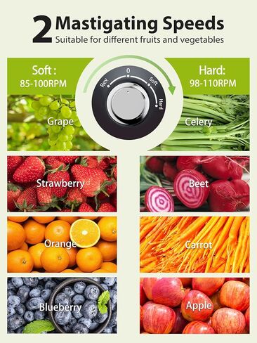 Aeitto Slow Masticating Juicer, Cold Press Jucier Machine with Soft & Hard Modes, Quiet Motor, Juicer Machines Vegetable and Fruit, Juice Extractor machine, Easy to Clean with Brush, Grey in Saudi Arabia