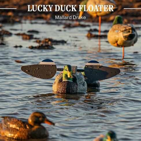 محظوظات بطة مياه مياه الدعارة شرك صيد البط ، Lucky HD Floater in Kuwait