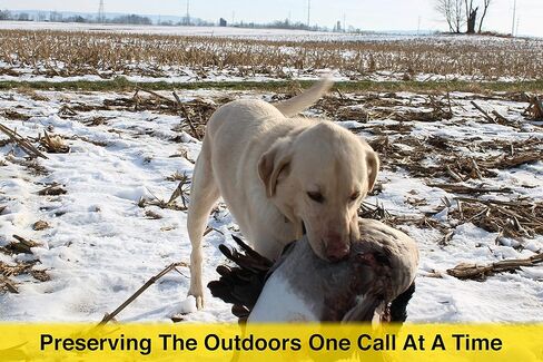 ESH Waterfool Duck Call Lazy Hen - Double Reed Bicote Wood Duck Call - Duck Calls to Hunting - All Weather in Saudi Arabia