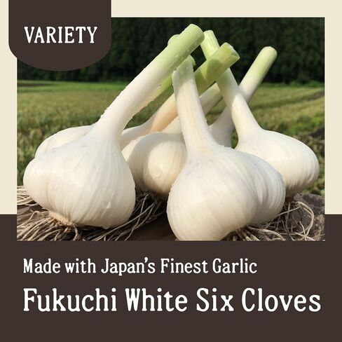 Aomori Farm Black Garlic 17.63oz (500g) in Saudi Arabia