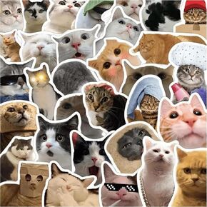 Cat Stickers,Funny Cat Meme, Kawaii for Adults,Waterproof Vinyl Stickers for Laptop Phone Guitar Water Bottles Luggage 50 Pcs