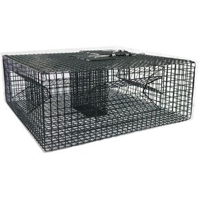 Shrimp Trap: Jumbo 4 Door, Black