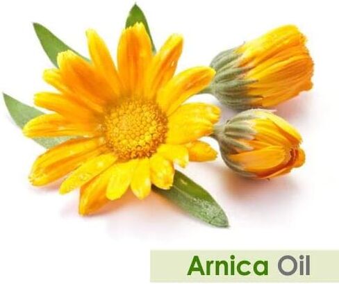 Ridge Gourd (Lufa Acutangula) Carrier Oil 100% Pure & Natural - Undiluted Uncut Cold Pressed Oil - Therapeutic Grade - 100 ML in Saudi Arabia