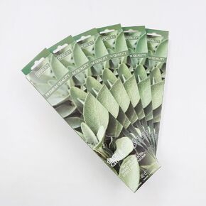 أعواد البخور من هوسلي ناج كامبا، ضخ الزيوت العطرية من أجل نعمة علاجية طويلة الأمد، استرخاء شامل في كل صندوق، عبوة مكونة من 240 عصا بخور in Kuwait