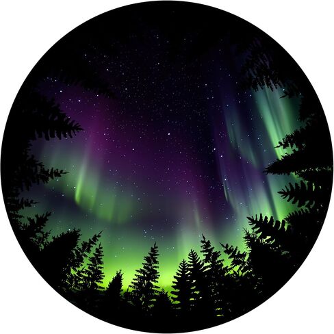 Slide Discs for Orzorz Star Projector Galaxy Plus Home Planetarium Projector (Work with Orzorz Star Projector Plus) (Snow Angel Nebula) in Saudi Arabia
