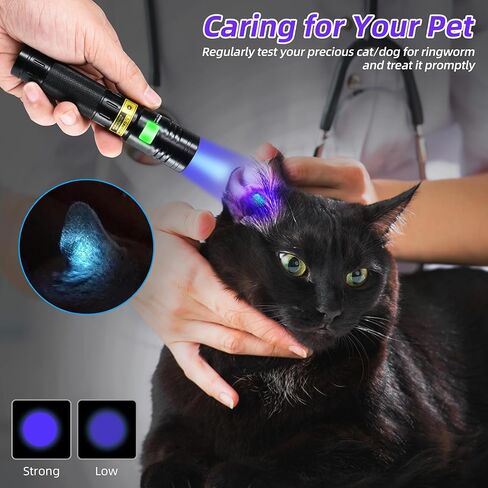 DARKBEAM UV Flashlight 395 nm Light Blacklight, Mini Powerful Woods Lamp USB-C Rechargeable, 3 LEDs 20W Ultraviolet Flashlights Pet Urine Detector for Mineral, Uranium Glass, Resin Curing in Saudi Arabia