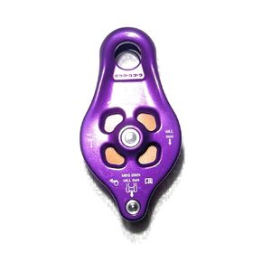DMM Pinto Rig Pulley 2 Purple Pul141