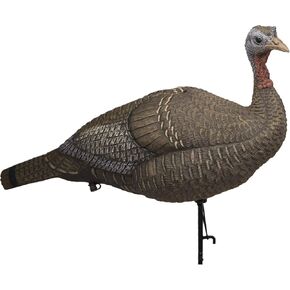 Lucky Duck - HD Lucky HD Hen