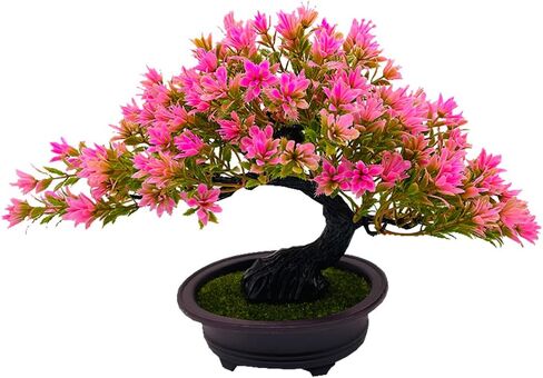 Artificial Bonsai Tree Juniper Faux Plants Indoor Small Fake Plants Decor with Pots for Home Table Office Desk Bathroom Shelf Bedroom Living Room Farmhouse Zen Garden Room Decorations in Kuwait