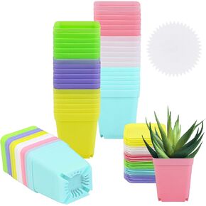 Elcoho 60 Pack 2.7 Inch Square Plants Nursery Pot Multicolor Plastic Plant Seedling Pots Flower Pots Nursery Transplanting Planter Container with Saucer for Your Room,Garden Office and Balcony Decor
