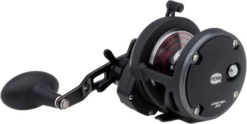 PENN Warfare Star Drag Multiplier Fishing Reel for Saltwater Boat or Kayak Fishing in Saudi Arabia