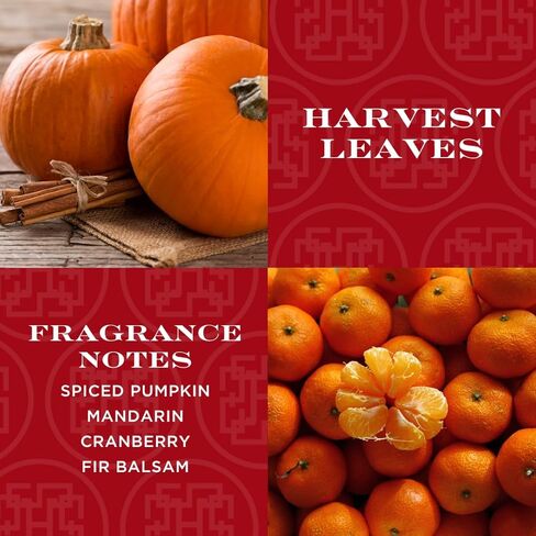 HomeWorx من Slatkin + Co. 4-Wick Lily of The Valley 18 أونصة. شمعة فاخرة مع صندوق هدايا، وجرة شمعة زجاجية فاخرة مع الزيوت العطرية in Saudi Arabia