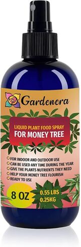 Professional Bamboo Tree Superfood Spray Mist for Home Gardening | Micro-Fungi Enriched Fertilizer Mist for Healthy Leaves & Growth | 18 Essential Vitamins & Minerals for Bamboo - 8oz in Kuwait
