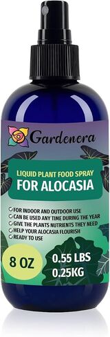 Professional Bamboo Tree Superfood Spray Mist for Home Gardening | Micro-Fungi Enriched Fertilizer Mist for Healthy Leaves & Growth | 18 Essential Vitamins & Minerals for Bamboo - 8oz in Kuwait