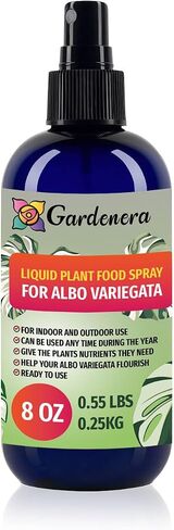 Professional Bamboo Tree Superfood Spray Mist for Home Gardening | Micro-Fungi Enriched Fertilizer Mist for Healthy Leaves & Growth | 18 Essential Vitamins & Minerals for Bamboo - 8oz in Kuwait