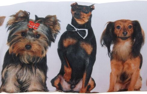 سدادة مسودة باب المنزل من Lily's وحاجز فجوات سدادة الهواء، تناسب الأبواب المتدفقة بعرض 36 بوصة، الحل المثالي لتيارات الهواء البارد أو الساخن، تصميم لمحبي الكلاب (عرض 37 بوصة، وزن 2 رطل) in Kuwait