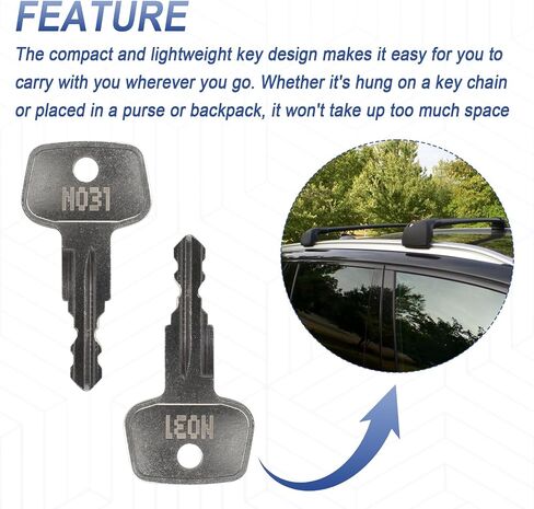 N030 Key for Thule Key Replacement,Fits for Thule Roof Rack Accessories,Car Ski Rack,Crossbars Key Etc(2PCS) in Saudi Arabia