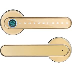 Fingerprint Smart Lock, Touchscreen Room Door Lock, Phone App Digital Lever Lock, Bluetooth Door Knob, Keyless Entry Front Door Lock with Keypad, for Home & Hotel & Office & Interior Door