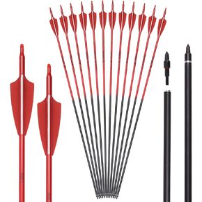 Carbon Arrow Archery 30inch Hunting Target Practice Arrows for Compound & Recurve Bow Spine 500 with Removable Tips (Pack of 12)
