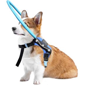 Blind Dog Halo Harness, Protective Halo Dog Collar for Blind Dogs, Confidence Building Harness Guiding Device, Blind Dog Accessories, Medium