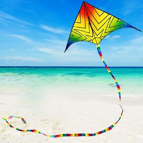 Delta Kite for Kids & Adults,Beginner Kites for Kids Ages 4-8,Easy to Fly Kite Beach Kite