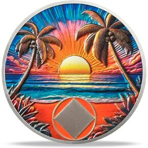 3 Year Sobriety Coin - Beach NA Medallions | Narcotics Anonymousa AA Chips and Medallions | Addiction Recovery Gifts for Celebrating Recovery Anniversary Milestones | Sobriety Gifts for Women & Men