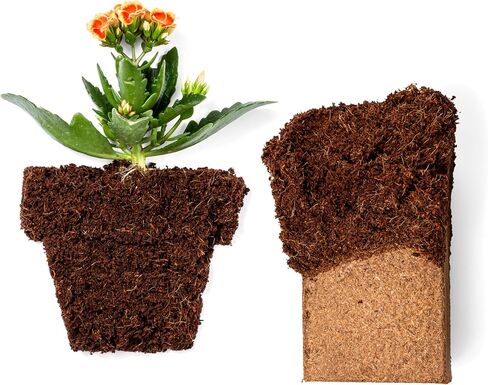 Char Bliss (16 Qts) - Organic Biochar for Plants - OMRI-Listed Biochar Soil Amendment Organic - Bio Char for Plants - Horticultural Charcoal for Plants, Potting Soil, Garden Soil, & Potting Mixes in Saudi Arabia