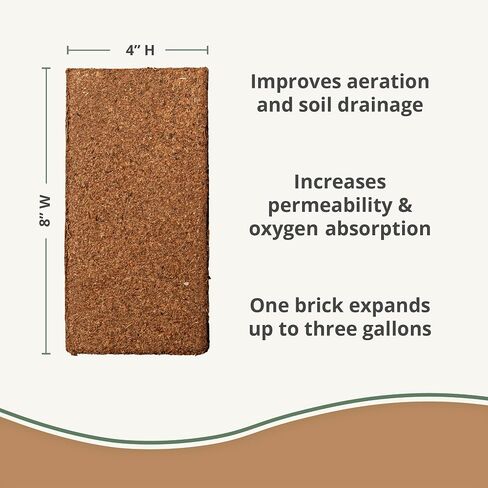 Char Bliss (16 Qts) - Organic Biochar for Plants - OMRI-Listed Biochar Soil Amendment Organic - Bio Char for Plants - Horticultural Charcoal for Plants, Potting Soil, Garden Soil, & Potting Mixes in Saudi Arabia