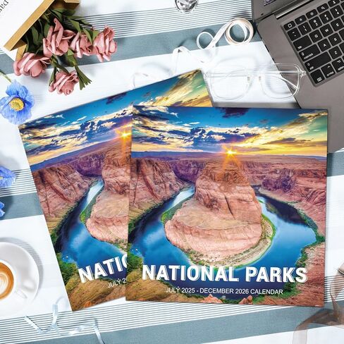 Calendar 2025 - JAN 2025 - DEC 2025, Wall Calendar, 12 Monthly Calendar 2025, 12" x 24" (Open), Wall Calendar 2025 with Unruled Blocks(1.5" x 1.4") + Thick Glossy Paper in Saudi Arabia