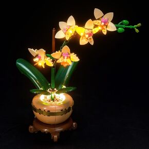 إضاءة LED متوافقة مع Lego Lucky Bamboo ، مجموعة الضوء المتوافقة مع Lego 10344 Botanicals Lucky Bamboo ، لم يتم تضمين مجموعة الطراز