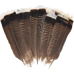 liqepye 20pcs Natural Wild Turkey Wing Feathers 8-10inch 20-25cm for Craft Home Wedding Party DIY Decoration Feathers