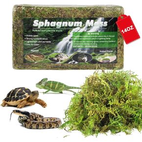 14oz sphagnum Moss للزواحف ، نباتات الفراش الطبيعية الخضراء المجففة الخضرة للثنائيات غابات Gecko وملحقات السلحفاة (50QT) in Kuwait