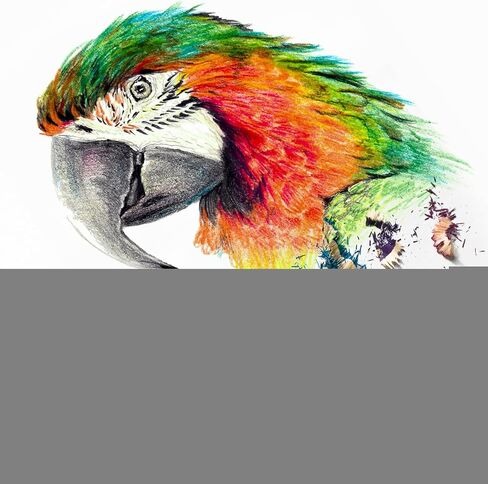 Patikil Watercolor Pencil ، 24 مساءً أقلام قابلة للذوبان في الماء للمزج ، والتلوين ، ورسم الرسم ، والرسم ، والأبيض in Saudi Arabia