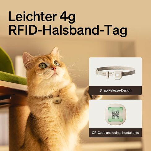 Petlibro RFID Automatic Cat Leeder ، 5G Wi-Fi Pet Leeder ، 3L Auto Cat Leeder Control مع علامة طوق الضوء و 6 حزم حقيبة غذائية للحيوانات الأليفة ، مغذيات تلقائية للقطط in Kuwait
