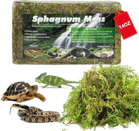 14oz sphagnum Moss للزواحف ، نباتات الفراش الطبيعية الخضراء المجففة الخضرة للثنائيات غابات Gecko وملحقات السلحفاة (50QT) in Kuwait