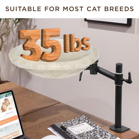 Deskside Dreamer - Cat Desk Hammock ، يأتي مع أقمشة قابلة للغسل: شبكة وأفخم ، 360 درجة قابلة للتعديل [أبيض] ، وزن أقصى 25 رطلاً in Kuwait