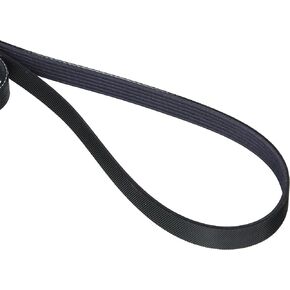 Motorcraft Drive Belt