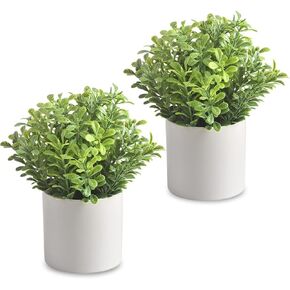 homEdge Artificial Mini Potted Boxwood, Artificial Plastic Plant Greenery with Pot for Home, Office Desk Decoration