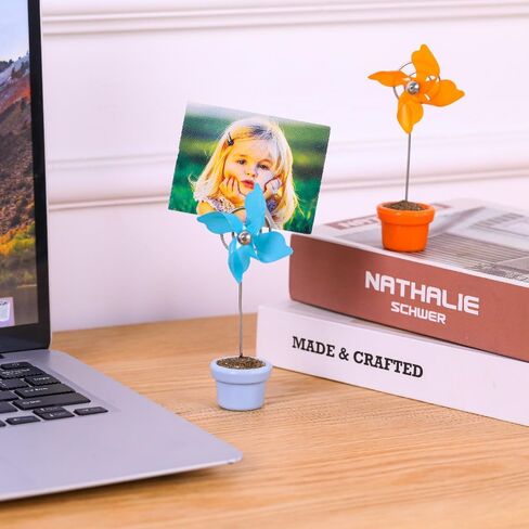 Mollytek 4 حزمة حامل صور سطح المكتب مع مقاطع بطاقة بريدية هدية بطاقة عرض صورة حامل ديكور شجرة حامل حامل لحفلات الزفاف (دولاب الهواء) in Saudi Arabia