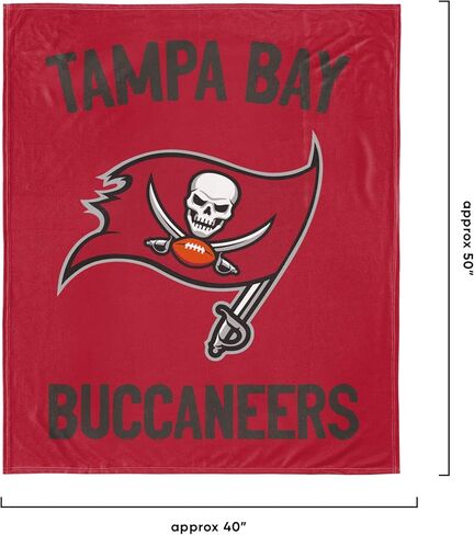 FOCO NFL Unisex-Teen NFL Team Logo Plush Bear with Blanket in Kuwait