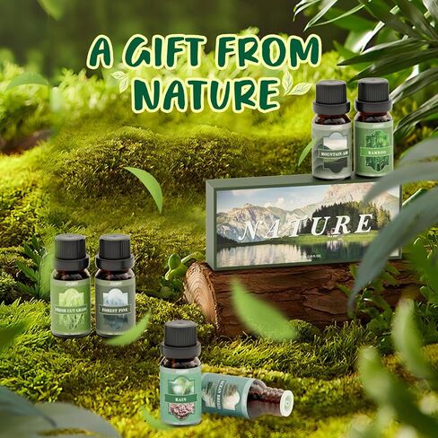 SALUBRITO Essential Oils Set, Nature Fragrance Oils Set - Forest Pine, Ocean Breeze, Rain, Fresh Cut Grass, Mountain Air, Bamboo, Premium Scented Oil for Diffuser, Candle, Soap Making in Saudi Arabia
